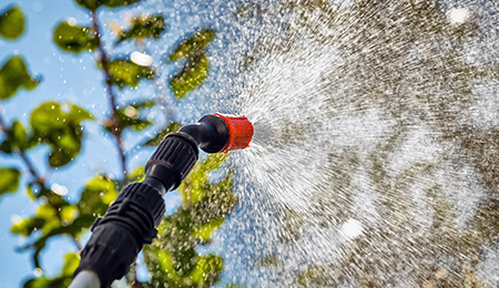 Tree and shrub care in Lancaster County, PA